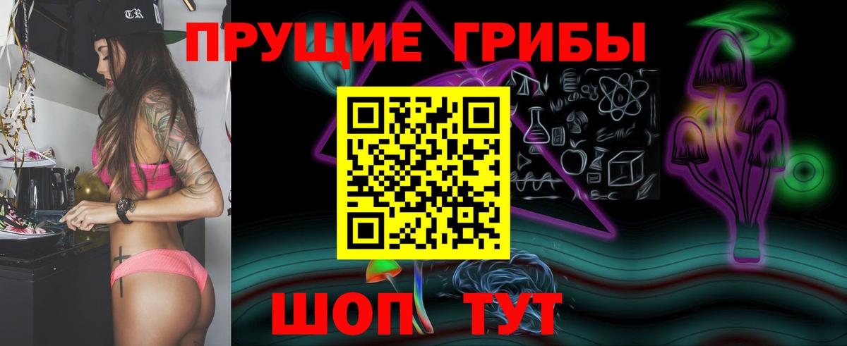 Псилоцибиновые грибы Psilocybe  Вход с VPN  Северодвинск  Галлюциногенные грибы MAGIC MUSHROOMS 